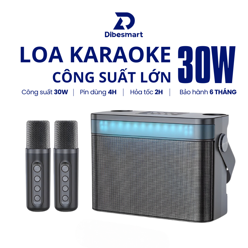 Loa karaoke 2 MIC bluetooth DIBESMART YS-224 Không dây, kèm 02 micro hát karaoke - Bảo hành 12 Tháng