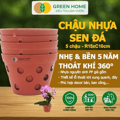 5 Chậu Trồng Lan GreenHome, R15xC10cm,  Nhựa Màu GỐM, Bền, Đẹp, Chống Rơi Vỡ, Thoáng Rễ, Giá TỐT