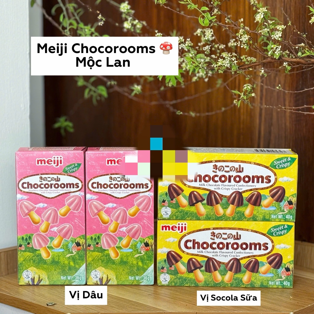 Bánh Socola Nấm Meiji Nhật Bản 36g