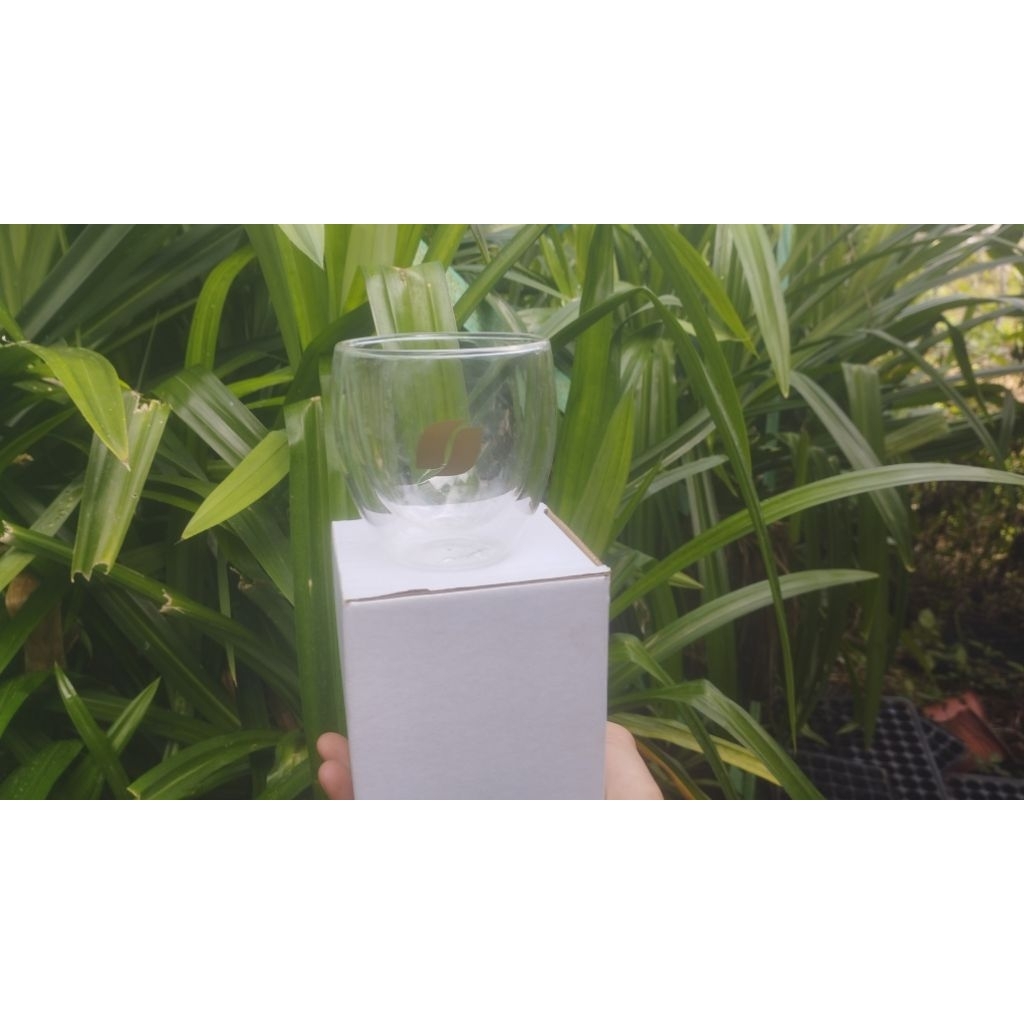 Ly Thủy Tinh Drinking Glass GL48-250ml