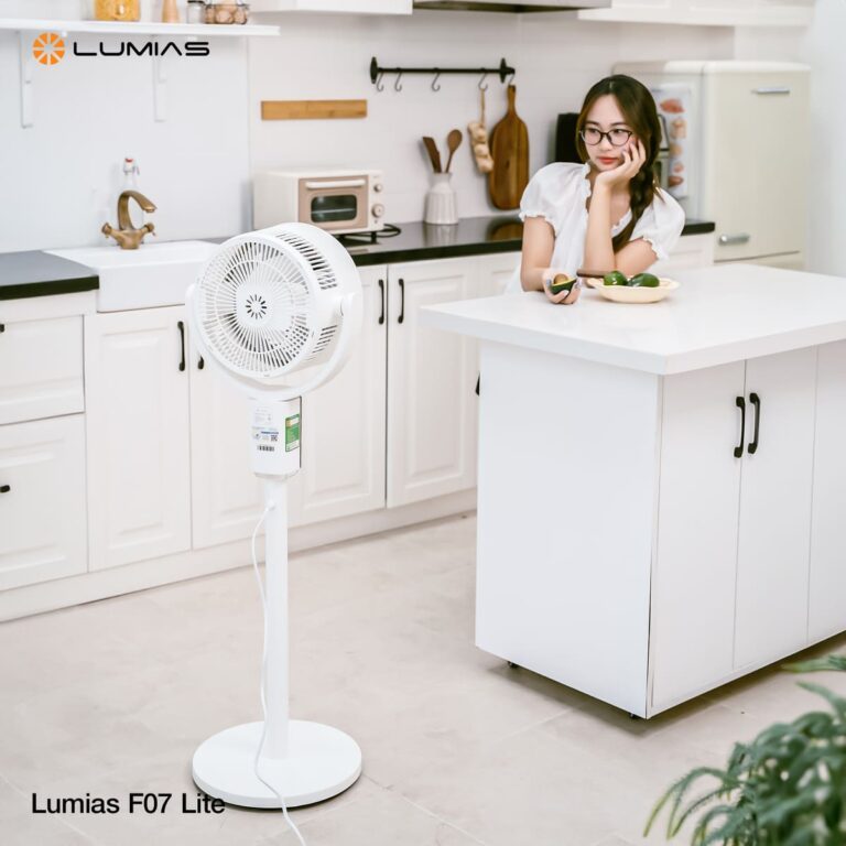 Quạt tuần hoàn đối lưu không khí F07