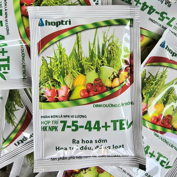 7544 TE HỢP TRÍ gói 40g, ra hoa nhiều, ra hoa đồng loạt.