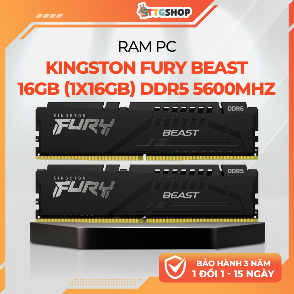 RAM DDR5 Kingston FURY Beast 16GB 5600MHz (1x16GB) | RAM PC Desktop Bus 5600 | KF556C40BB-16
