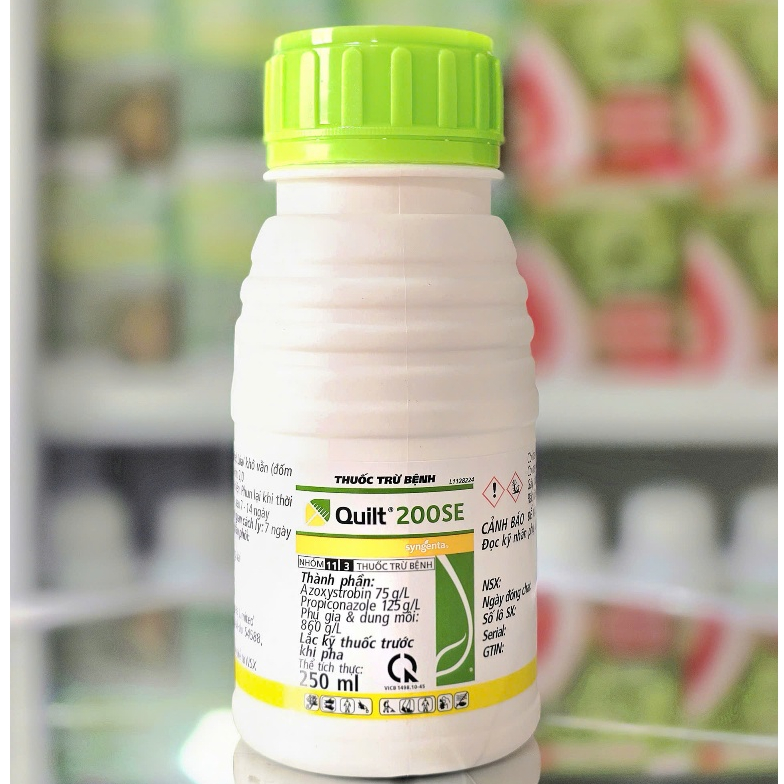 QUILT 200SE chai 250ML chính hãng SYNGENTA, lem lép hạt, khô vằn, sáng hạt, dưỡng xanh lá.