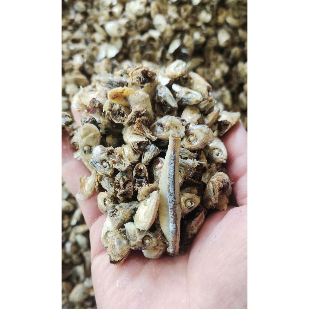 BỘT TÔM, VỤN ĐẦU CÁ CƠM KHÔ 5KG NGUYỄN CHẤT ĐẠM CAO 50-60% CUNG CẤP SỈ, LẺ TOÀN QUỐC