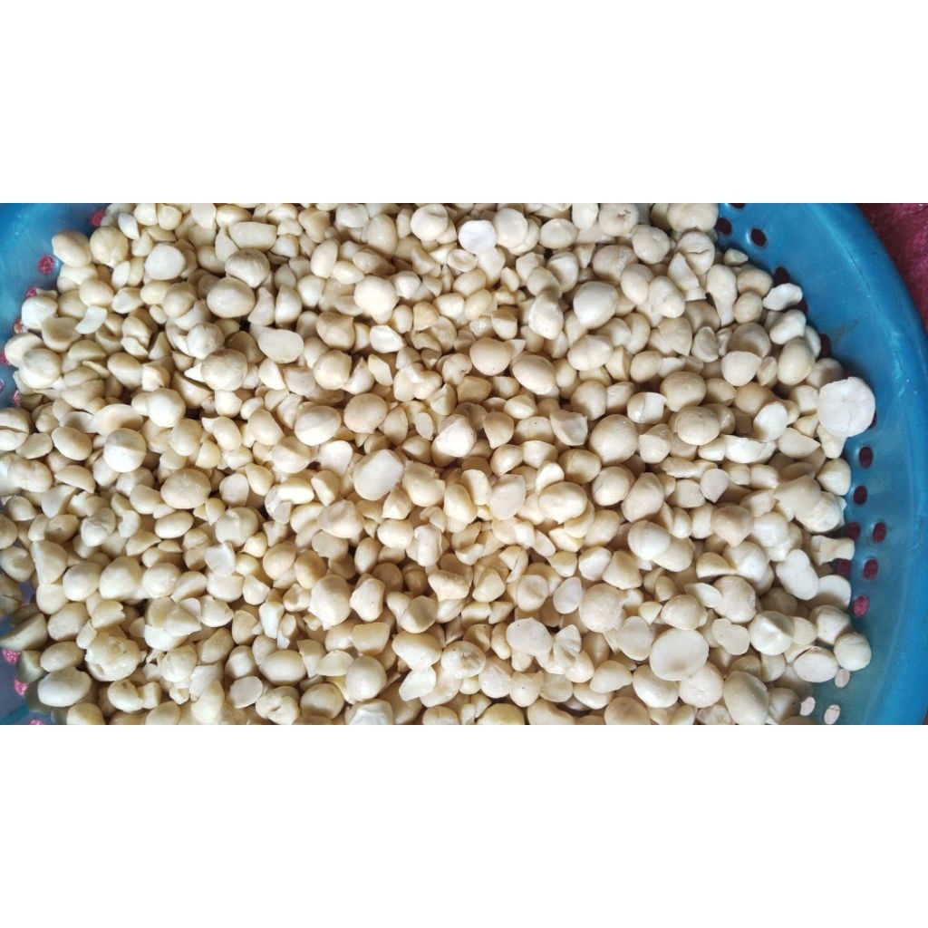 nhân macca vỡ 500g