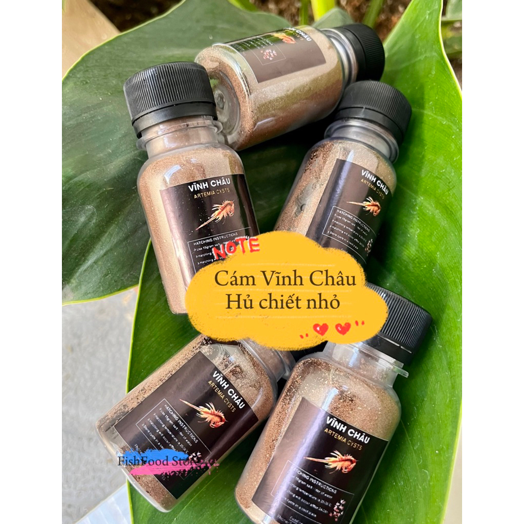 Cám artemia Vĩnh Châu (Loại 1_99%) - Cám chuyên cho cá con Betta,Guppy,..