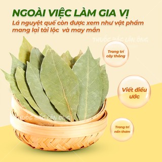 Lá nguyệt quế khô 100g, lá bay leaf, viết điều ước, decor trang trí, gia vị nấu ăn thơm ngon