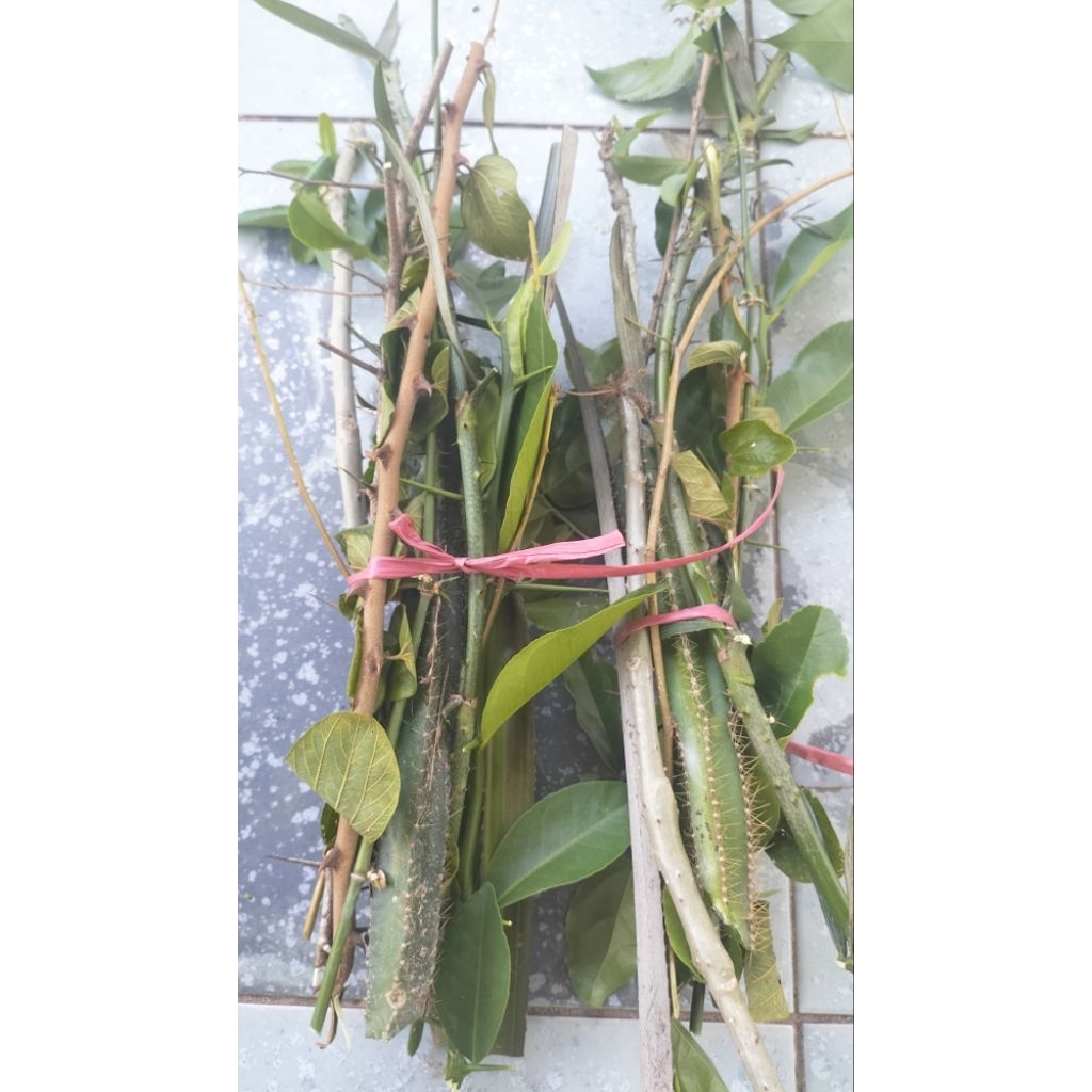 Combo gai tắm trừ tà ( Nam 7 loại, Nữ 9 loại)