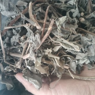 Lá mơ lông tím, trắng tươi và sấy khô sạch vip 1kg