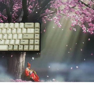 Lót chuột Sakura