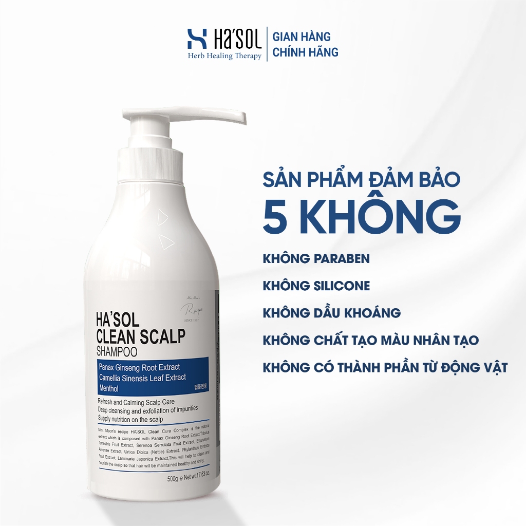Dầu Gội HASOL Hỗ Trợ Giảm Gàu Nấm Ngứa, Phù Hợp Cho Da Đầu Nhiều Dầu, Tóc Mỏng Và Yếu HA'SOL Clean Scalp Shampoo 500g | BigBuy360 - bigbuy360.vn