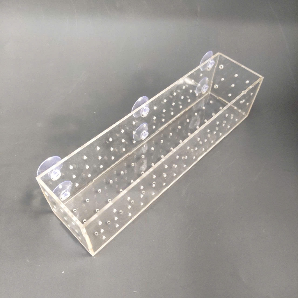 [Chỉ giao hỏa tốc] Khay trồng cây thủy sinh mica 30x5x5 có kèm nút hít