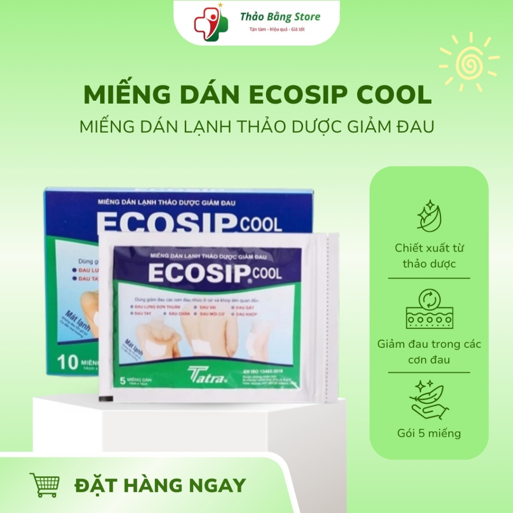 MIẾNG DÁN LẠNH THẢO DƯỢC ECOSIP COOL