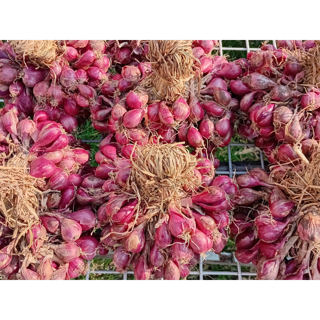 Củ hành tím khô ÔNG THẮNG - 500g