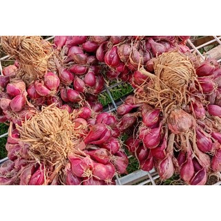 Củ hành tím khô ÔNG THẮNG - 500g