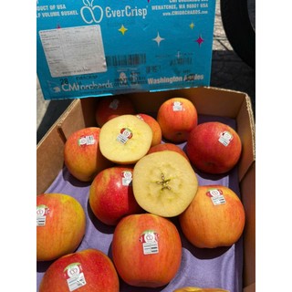 ( JENNY FRUIT ) THÙNG TÁO MẬT EVERCRIP MỸ SIZE 28 TRÁI/9KG