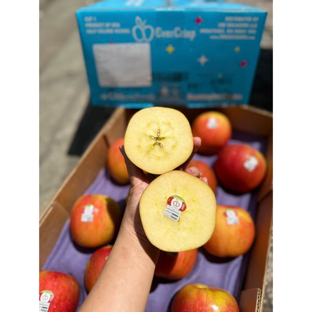 ( JENNY FRUIT ) THÙNG TÁO MẬT EVERCRIP MỸ SIZE 28 TRÁI/9KG