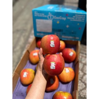 ( JENNY FRUIT ) THÙNG TÁO MẬT EVERCRIP MỸ SIZE 28 TRÁI/9KG
