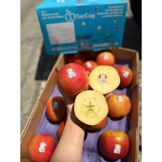 ( JENNY FRUIT ) THÙNG TÁO MẬT EVERCRIP MỸ SIZE 28 TRÁI/9KG