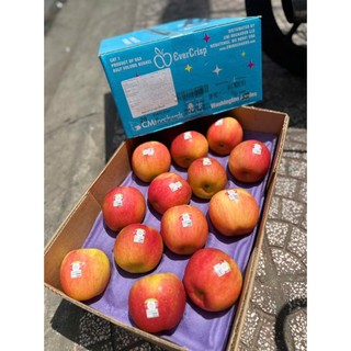 ( JENNY FRUIT ) THÙNG TÁO MẬT EVERCRIP MỸ SIZE 28 TRÁI/9KG