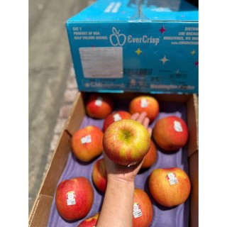 ( JENNY FRUIT ) THÙNG TÁO MẬT EVERCRIP MỸ SIZE 28 TRÁI/9KG