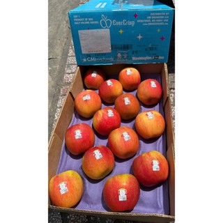 ( JENNY FRUIT ) THÙNG TÁO MẬT EVERCRIP MỸ SIZE 28 TRÁI/9KG