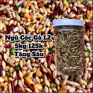 Ngũ Cốc Gà L2 5KG 125k tặng Sâu Canxi