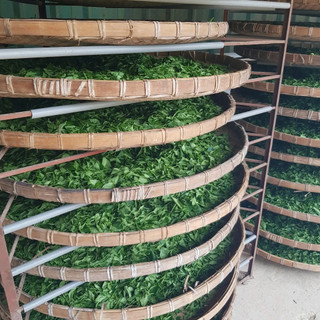 Trà Ô Long đặc biệt, thơm ngon túi 1kg thương hiệu Maxko
