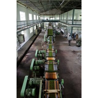 Trà Ô Long đặc biệt, thơm ngon túi 1kg thương hiệu Maxko