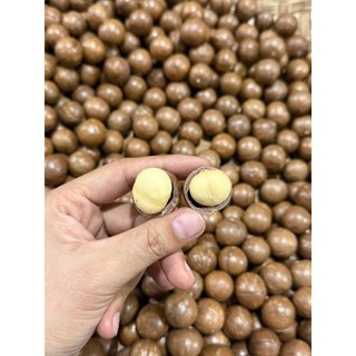 Hạt Macca Úc Nứt Vỏ MONUTS thơm giòn béo