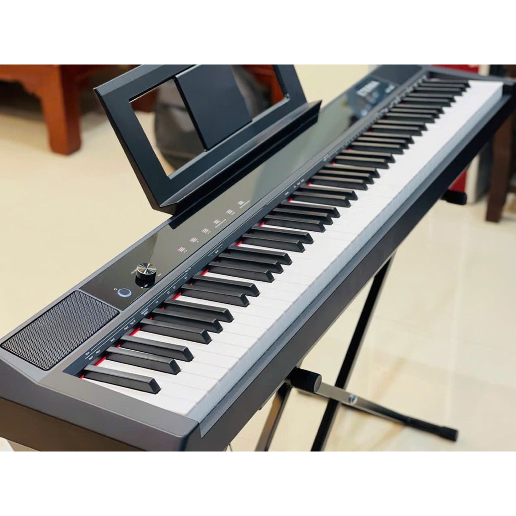 Đàn piano 88 phím nặng Eterna ad1000