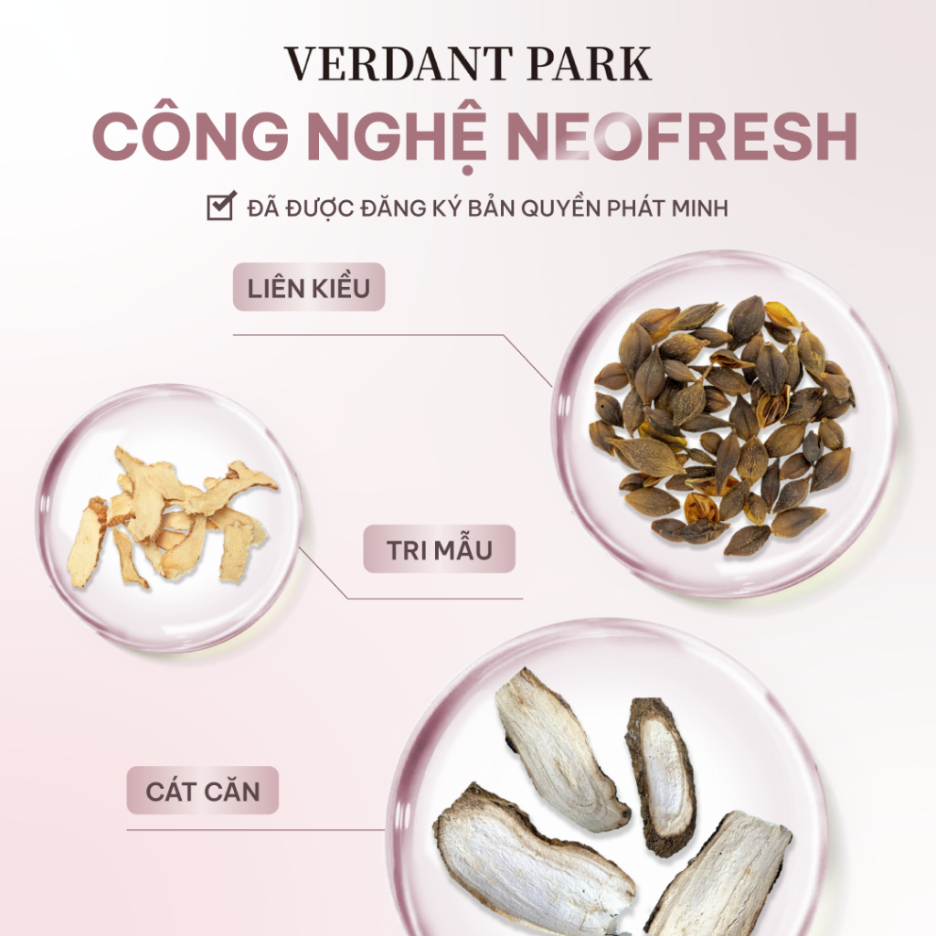 Xịt khô phồng tóc VERDANT PARK 200ml dầu gội khô kiềm dầu Pinkmelo Peach Verdantpark VDPK01 | BigBuy360 - bigbuy360.vn
