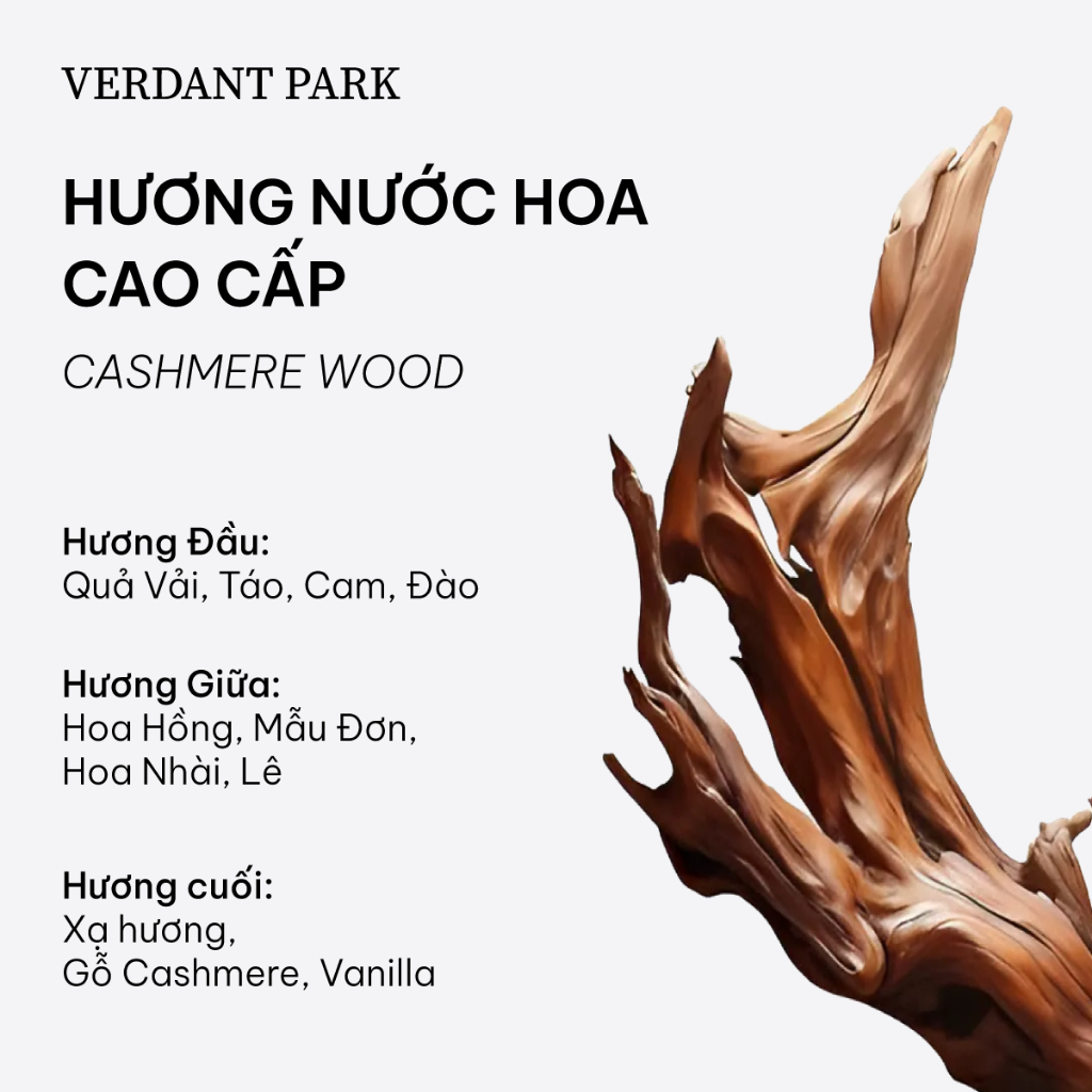 Xịt dưỡng giữ phồng tóc VERDANT PARK gel tạo kiểu tóc lâu bết giữ nếp tóc Caviar Oil & Collagen Spray Verdantpark VDPK22 | BigBuy360 - bigbuy360.vn
