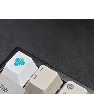 Keycap dùng cho bàn phím cơ - PBT Cherry LOGO