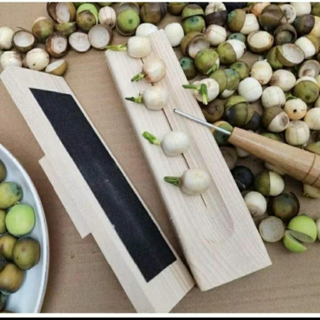 DỤNG CỤ BÓC TÁCH VỎ HẠT SEN, hạt dẻ, lấy tâm hạt sen tươi tiện dụng