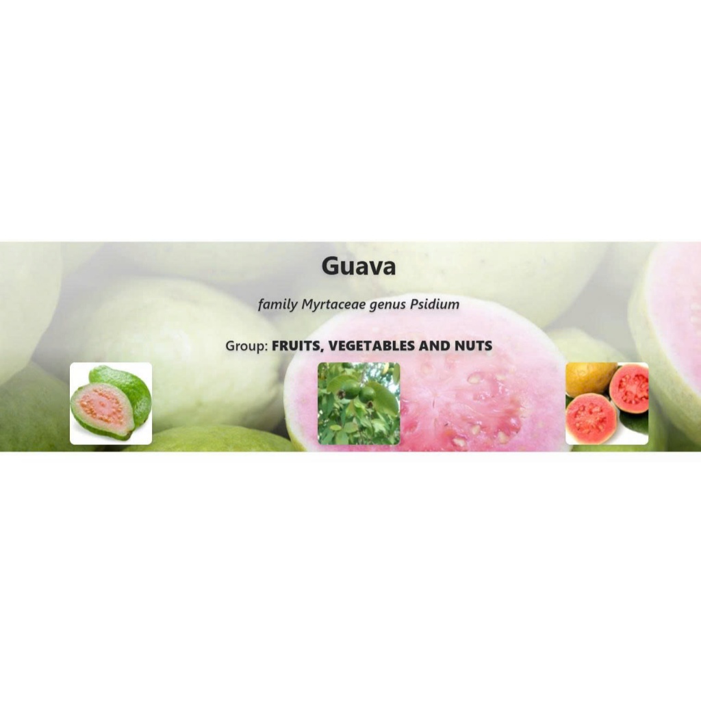 HƯƠNG LIỆU GUAVA -100G