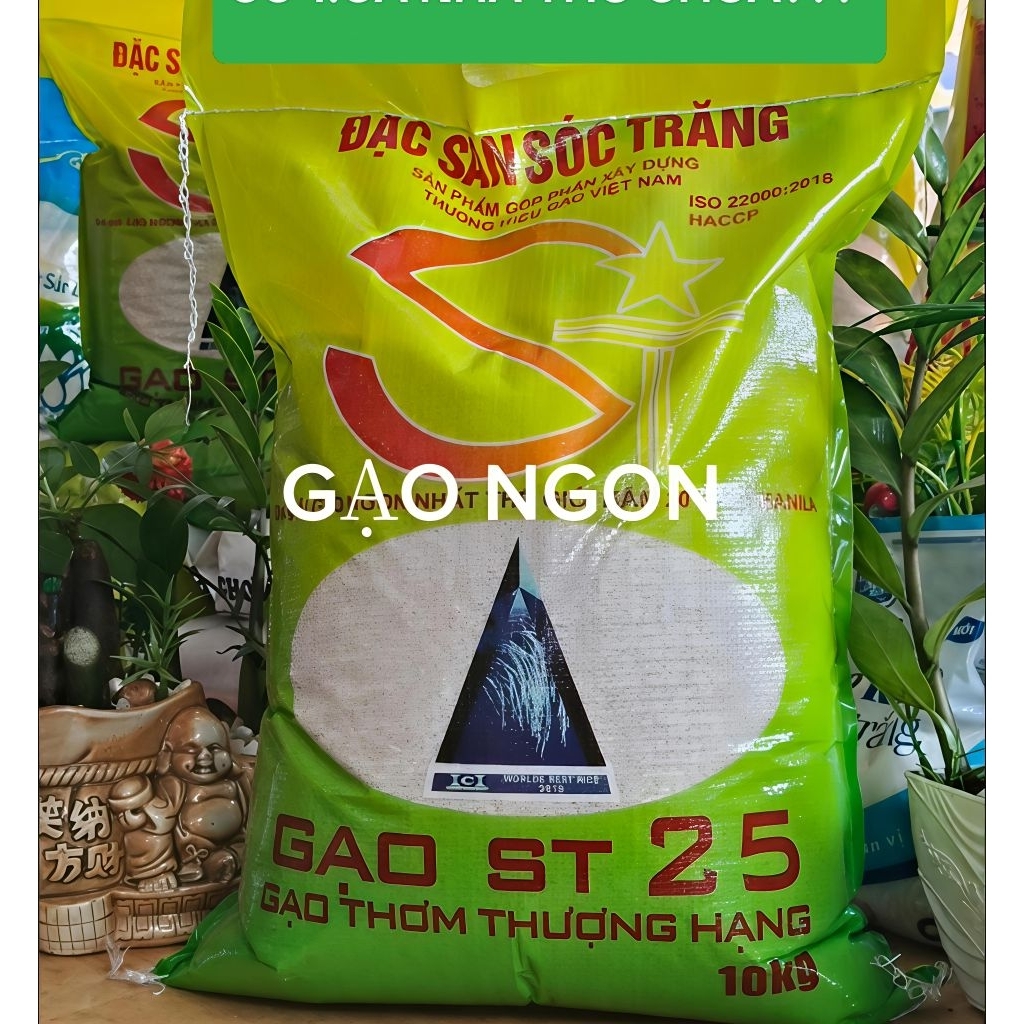 GẠO St25 LÚA TÔM 10 kg DẺO NHIỀU