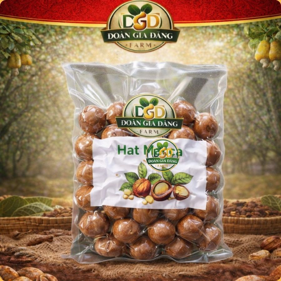 Hạt macca nứt vỏ size vip đóng zip, Combo 500gr, 100gr, Đoàn Gia Đăng Farm, Hàng đầu vụ chỉ bán sz V