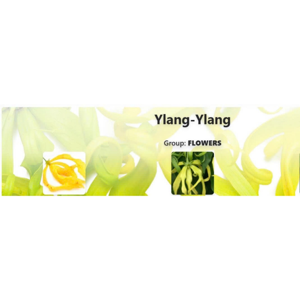 HƯƠNG LIỆU YLANG-YLANG-500G