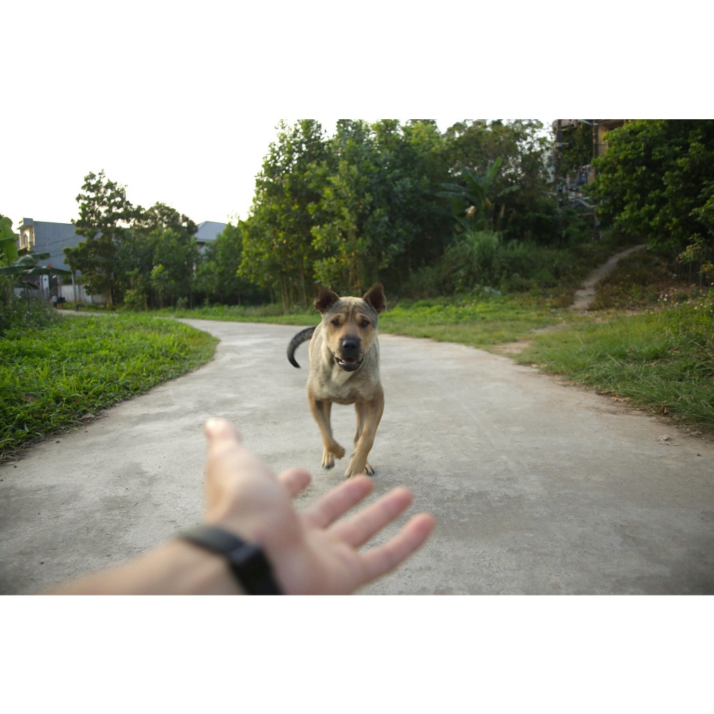 Lens Canon ef Sigma 28-80mm macro (Ống kính đẹp) - Ống kính Canon EF