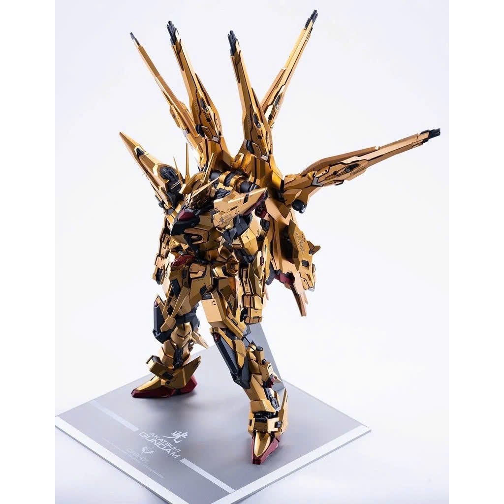 Mô hình lắp ráp Akatsuki Ootori & Shiranui Aurora - Khung xương kim loại