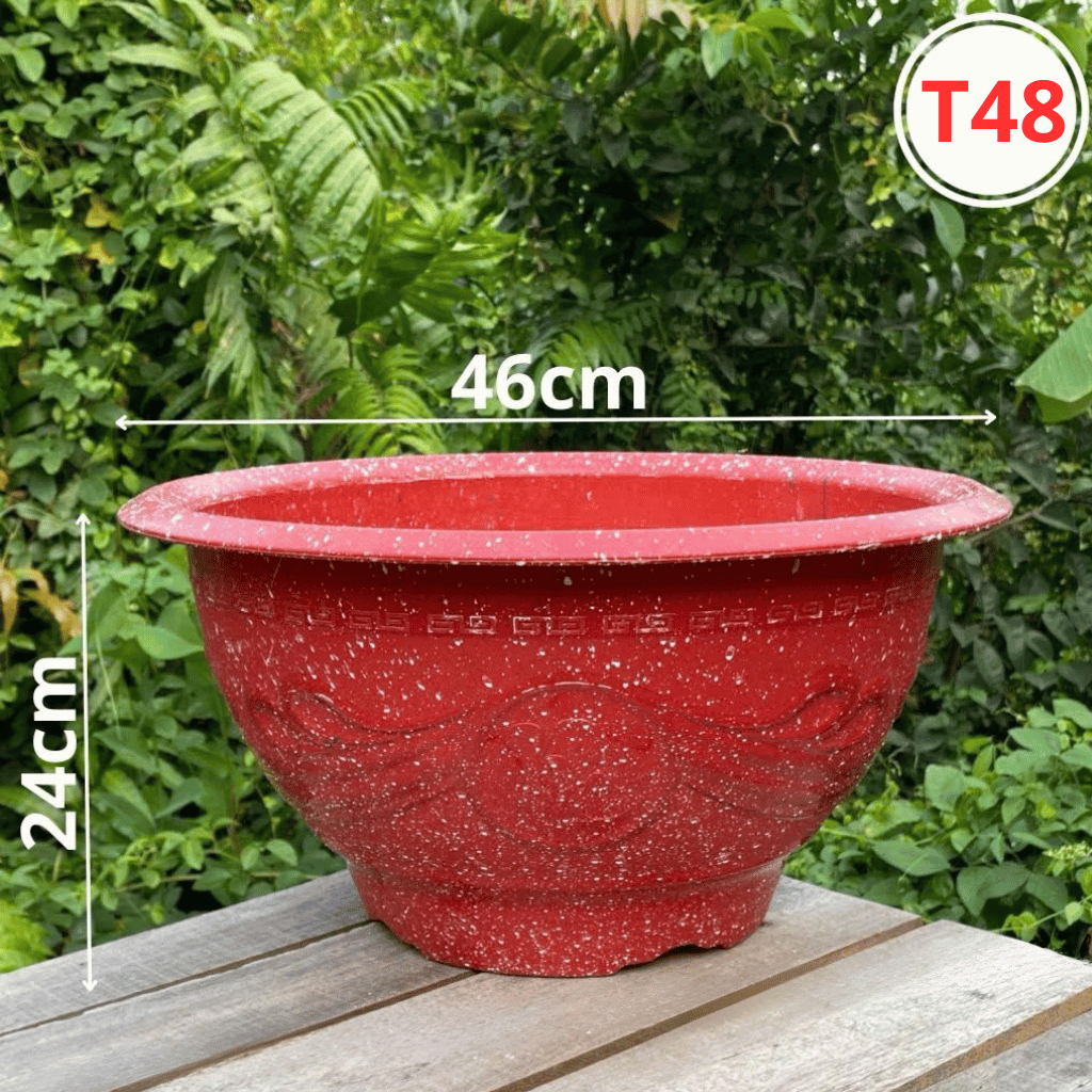20 Chậu nhựa trồng cây Phúc lộc thọ T48,kích thước 48 x 35 cm, chậu trồng hoa cây cảnh đào tết