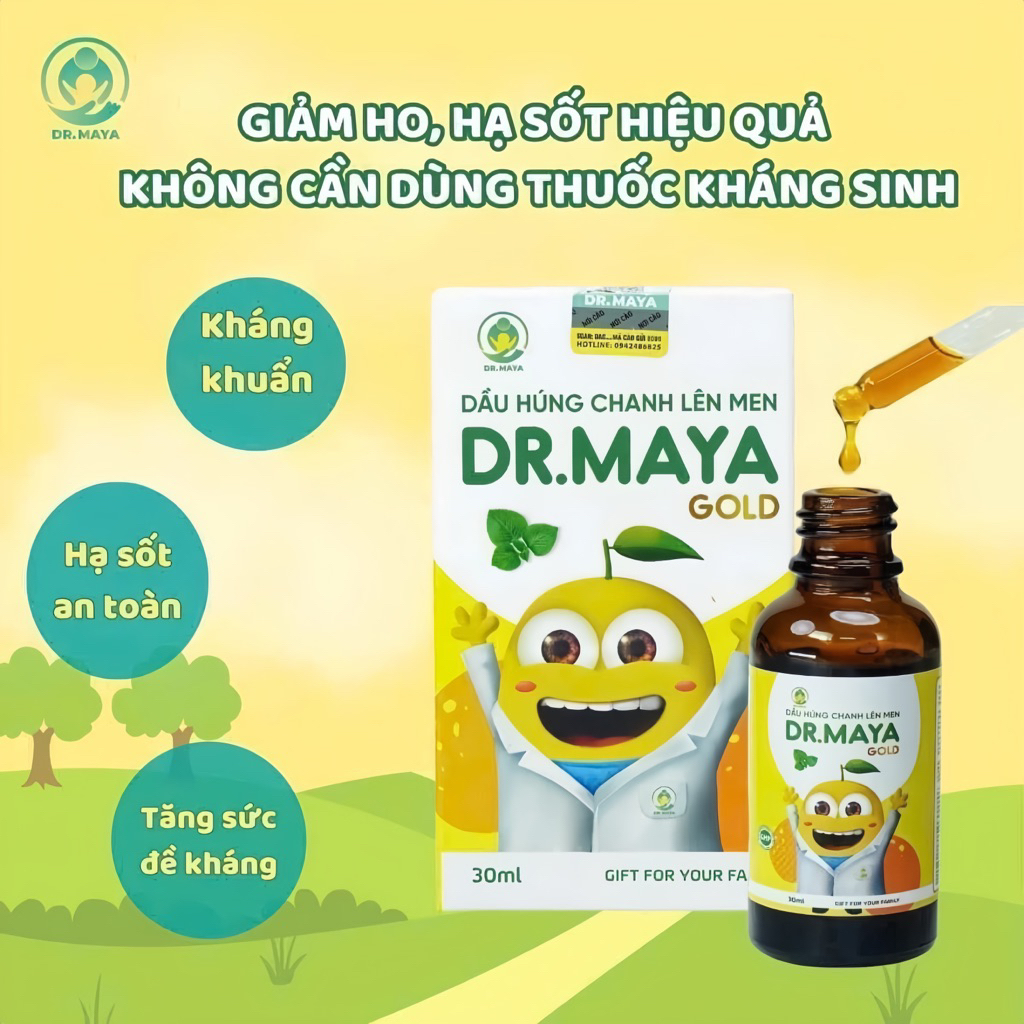 Dầu Húng Chanh Lên Men Dr.Maya Gold - Dầu Húng Chanh Minion Gold