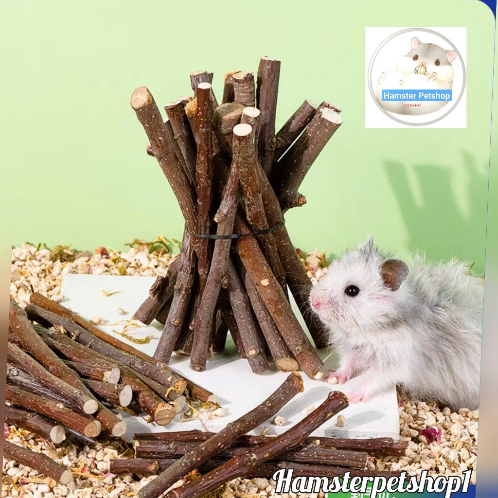 Cành táo mài răng cho Hamster , Sóc, Nhím