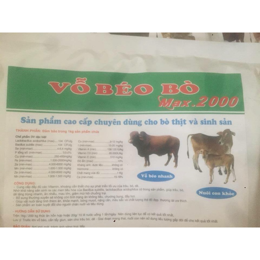 vỗ béo gia súc