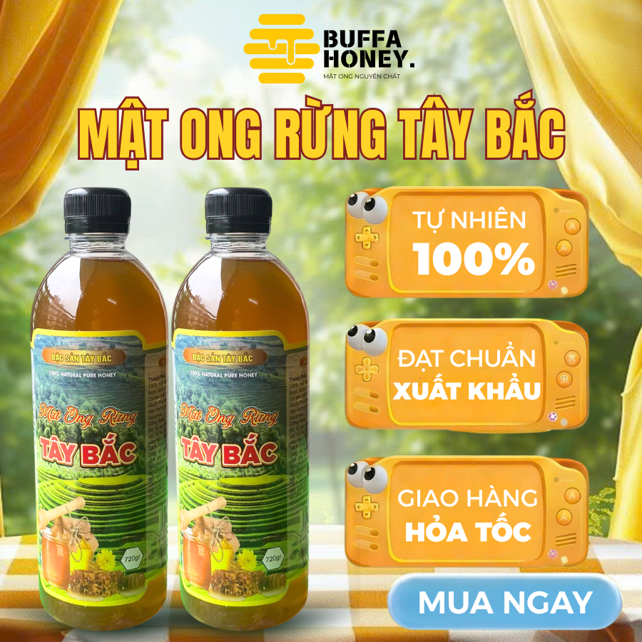 Mật Ong Hoa Rừng Tây Bắc Nguyên Chất 100% Tự Nhiên Mật Chín Đặc Sánh Thơm Ngọt Không Pha Tạp 1000ml