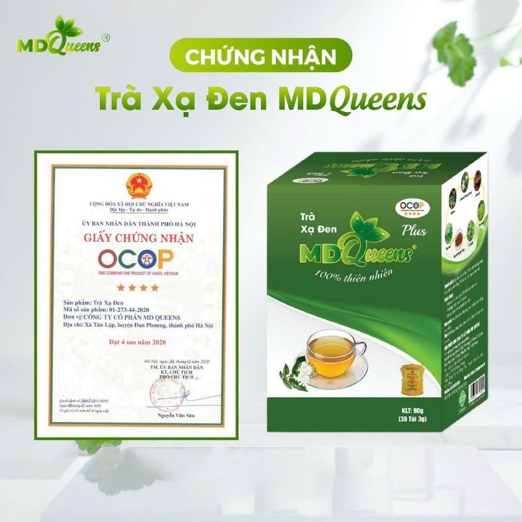 Trà Xạ Đen MDQueens - Trà Túi Lọc