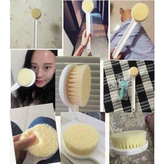 🧽 Cọ Chải Tắm Chà Lưng Không Hộp 🧽