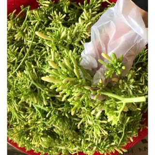 Hoa Đu Đủ Đ.ự.c Sấy Khô - Mộc Organic